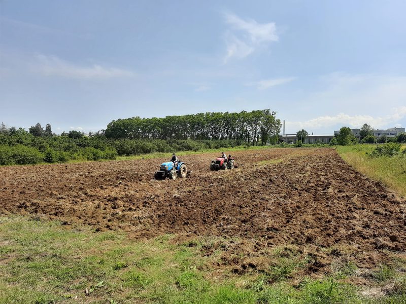 Preparing the field trial site