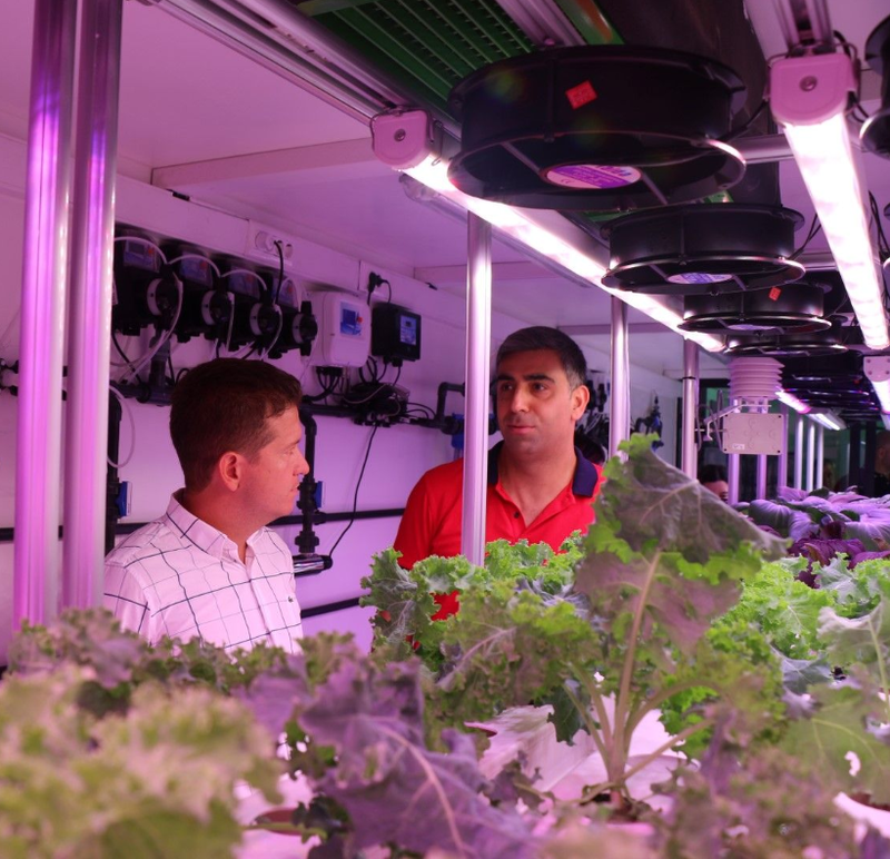 Soilless vertical farming facility