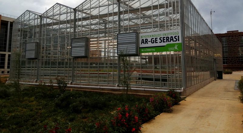 The R&D greenhouse